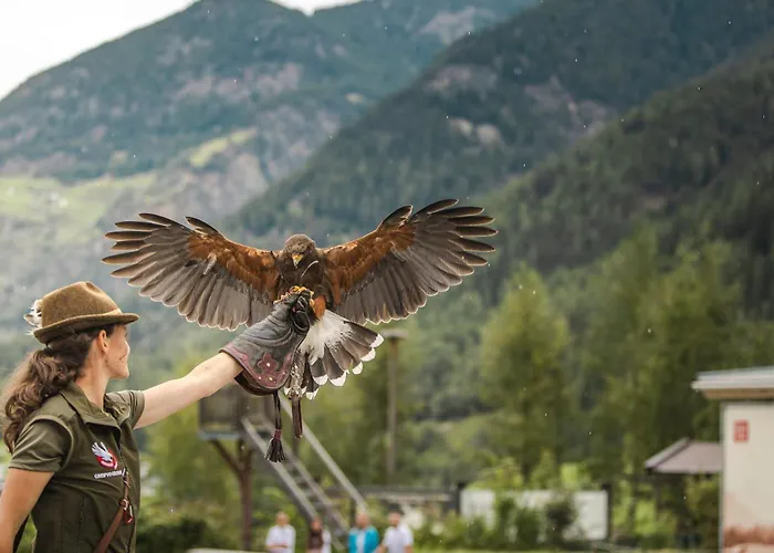 Gruebe-hof Niederthai