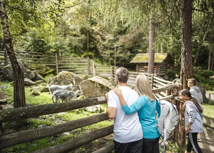 Appartement Gruebe-hof