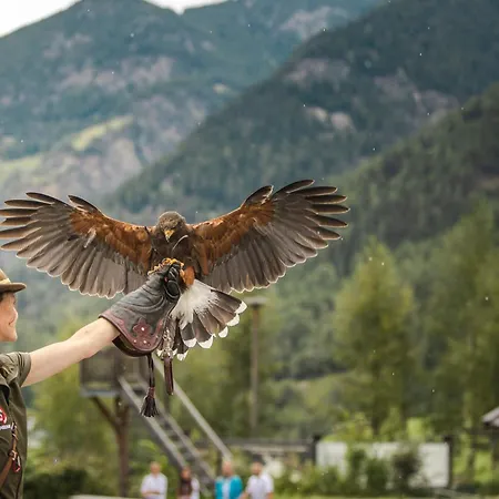 Gruebe-hof نيديرثاي